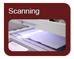 Document Scanning Services